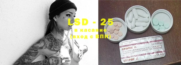 спайс Алзамай