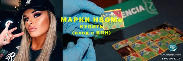 стафф Алексин
