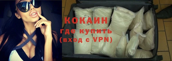 стафф Алексин