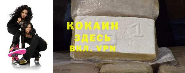 стафф Алексин