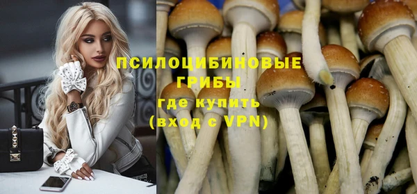 эйфоретик Алексеевка