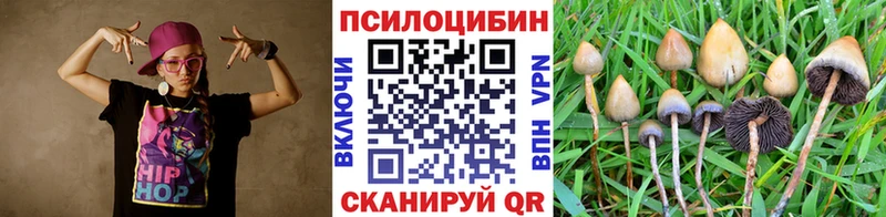 закладки  Набережные Челны  Галлюциногенные грибы прущие грибы 