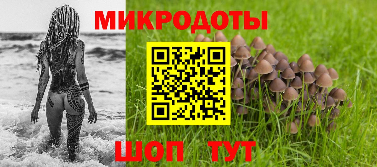 Псилоцибиновые грибы GOLDEN TEACHER  Вход с VPN  Галлюциногенные грибы Psilocybine cubensis  Набережные Челны 