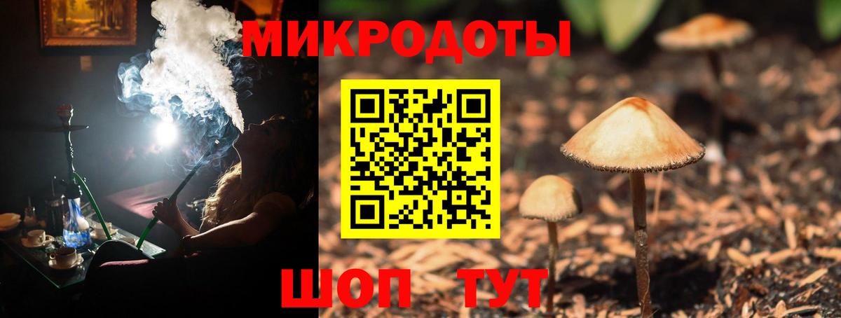 Псилоцибиновые грибы мухоморы Набережные Челны